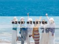 林芝冬天？林芝冬天下雪嗎