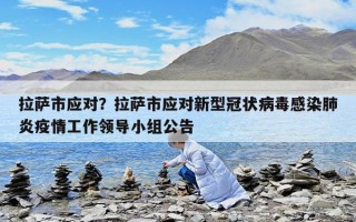 拉薩市應對？拉薩市應對新型冠狀病毒感染肺炎疫情工作領導小組公告