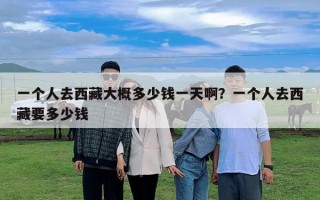 一個人去西藏大概多少錢一天啊？一個人去西藏要多少錢