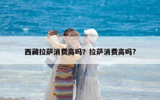 西藏拉薩消費(fèi)高嗎？拉薩消費(fèi)高嗎?