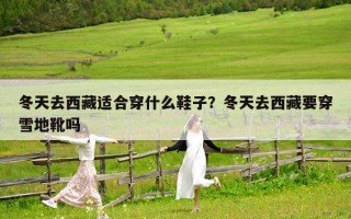 冬天去西藏適合穿什么鞋子？冬天去西藏要穿雪地靴嗎