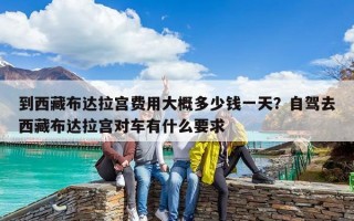 到西藏布達(dá)拉宮費(fèi)用大概多少錢一天？自駕去西藏布達(dá)拉宮對(duì)車有什么要求