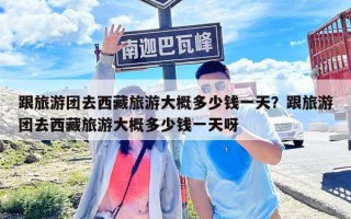 跟旅游團(tuán)去西藏旅游大概多少錢一天？跟旅游團(tuán)去西藏旅游大概多少錢一天呀