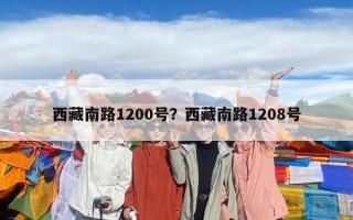 西藏南路1200號？西藏南路1208號