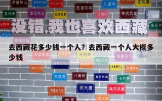 去西藏花多少錢一個人？去西藏一個人大概多少錢