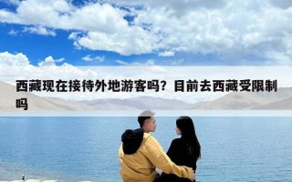 西藏現在接待外地游客嗎？目前去西藏受限制嗎