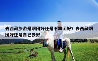 去西藏旅游是跟團好還是不跟團好？去西藏跟團好還是自己去好