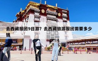 去西藏報團9日游？去西藏旅游報團需要多少錢
