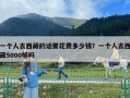 一個人去西藏的話要花費多少錢？一個人去西藏5000夠嗎