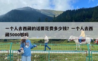 一個(gè)人去西藏的話要花費(fèi)多少錢？一個(gè)人去西藏5000夠嗎
