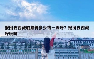 報團去西藏旅游得多少錢一天呀？報團去西藏好玩嗎