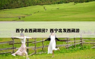 西寧去西藏跟團(tuán)？西寧出發(fā)西藏游