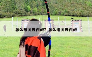 怎么報團去西藏？怎么組團去西藏