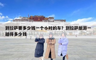 到拉薩要多少錢一個小時的車？到拉薩旅游一趟得多少錢