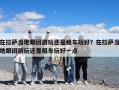 在拉薩當?shù)馗鷪F游玩還是租車玩好？在拉薩當?shù)馗鷪F游玩還是租車玩好一點