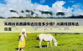 從四川去西藏布達拉宮多少錢？川藏線到布達拉宮