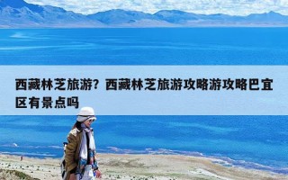 西藏林芝旅游？西藏林芝旅游攻略游攻略巴宜區有景點嗎