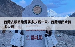 西藏去跟團旅游要多少錢一天？西藏跟團大概多少錢