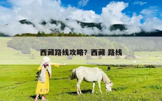 西藏路線攻略？西藏 路線