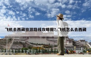 飛機(jī)去西藏旅游路線攻略圖？飛機(jī)怎么去西藏