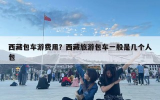 西藏包車(chē)游費(fèi)用？西藏旅游包車(chē)一般是幾個(gè)人包