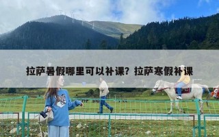 拉薩暑假哪里可以補(bǔ)課？拉薩寒假補(bǔ)課