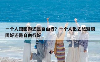 一個人跟團游還是自由行？一個人出去旅游跟團好還是自由行好
