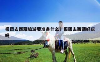 報團去西藏旅游要準備什么？報團去西藏好玩嗎