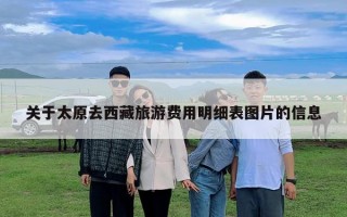 關于太原去西藏旅游費用明細表圖片的信息
