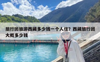 旅行團旅游西藏多少錢一個人?。课鞑芈眯袌F大概多少錢