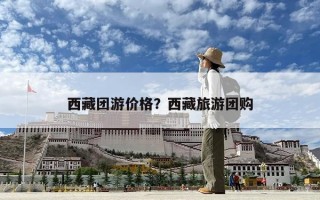 西藏團(tuán)游價(jià)格？西藏旅游團(tuán)購(gòu)