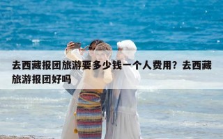 去西藏報(bào)團(tuán)旅游要多少錢一個人費(fèi)用？去西藏旅游報(bào)團(tuán)好嗎