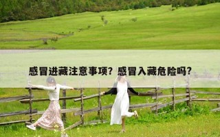 感冒進藏注意事項？感冒入藏危險嗎?