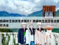 西藏林芝旅游景點(diǎn)圖片？西藏林芝旅游景點(diǎn)圖片大全