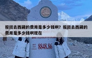 報團(tuán)去西藏的費用是多少錢啊？報團(tuán)去西藏的費用是多少錢啊現(xiàn)在