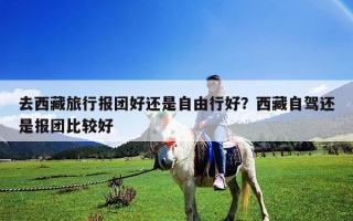 去西藏旅行報團好還是自由行好？西藏自駕還是報團比較好