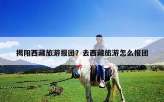揭陽西藏旅游報團？去西藏旅游怎么報團