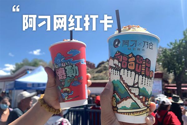 西藏大概需要多少錢